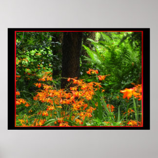 Oranje bloemen in het bos poster