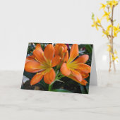 Oranje bloemen kaart (Gele Bloem)