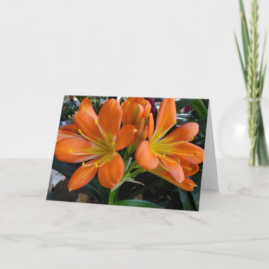 Oranje bloemen kaart (Voorkant)