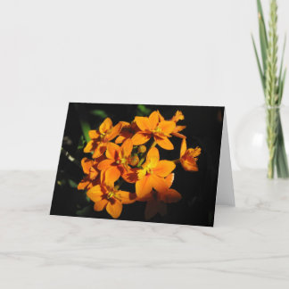 Oranje bloemen Kaart