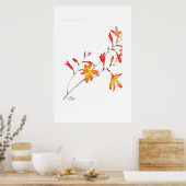 Oranje bloemen poster (Keuken)