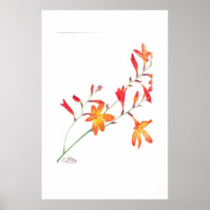 Oranje bloemen poster