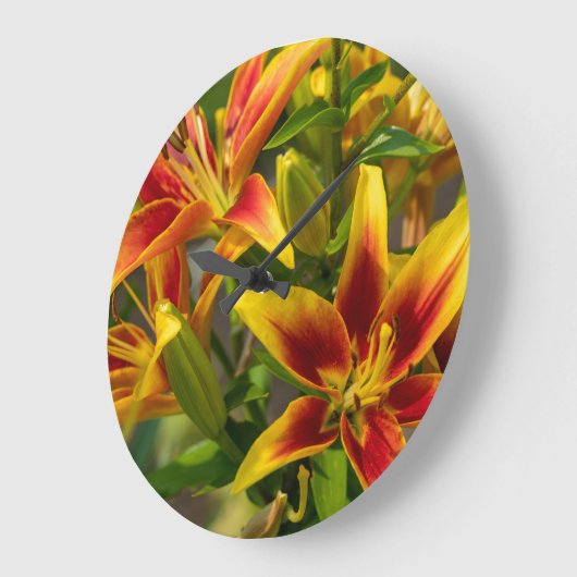 Oranje bloemenfotografie, Canadian Day Lily Grote Klok (Hoek)