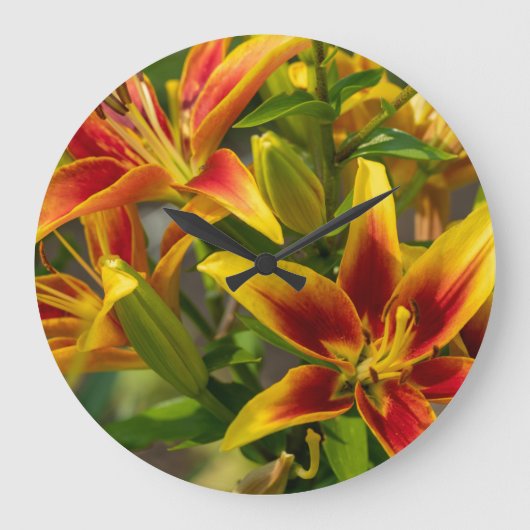 Oranje bloemenfotografie, Canadian Day Lily Grote Klok (Voorkant)