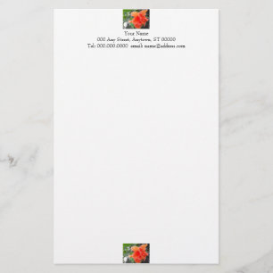 Oranje bloemkool briefpapier