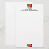 Oranje bloemkool briefpapier (Voorkant / Achterkant)