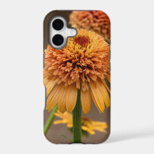 Oranje Bloemverrukking