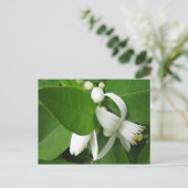 Oranje bloesem briefkaart (Staand voorkant)