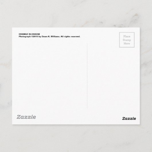 Oranje bloesem briefkaart (Achterkant)