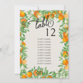Oranje bloesem bruiloft tafel zitgrafiek (Voorkant)