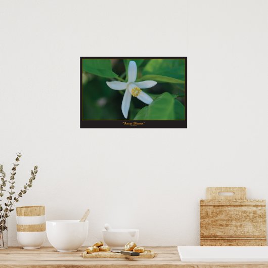 Oranje bloesem poster (Keuken)