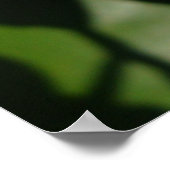 Oranje bloesem poster (Hoek)