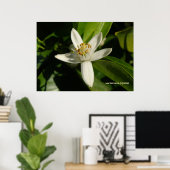 Oranje bloesem poster (Thuiskantoor)