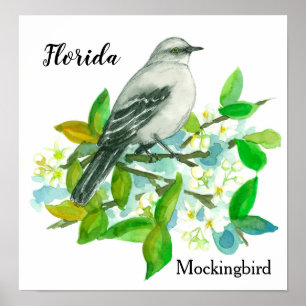 Oranje Blossom Mockingbird State Flower of Florida Poster