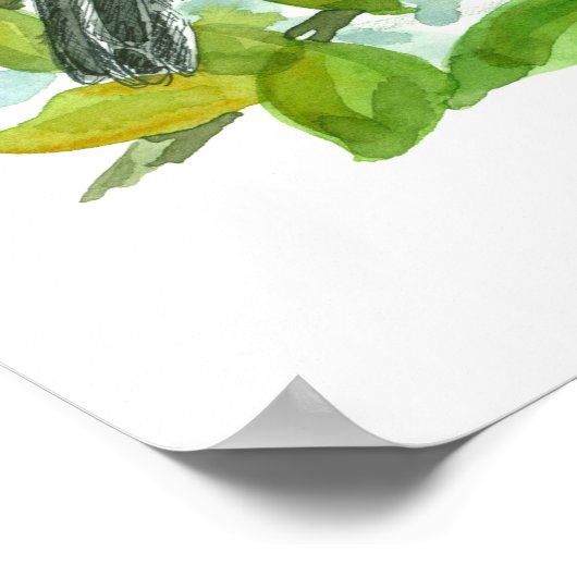 Oranje Blossom Mockingbird van Florida Poster (Hoek)