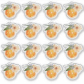 Oranje Blossom Waterverf Mini Stickers (Voorkant)