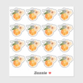 Oranje Blossom Waterverf Mini Stickers (Vel)