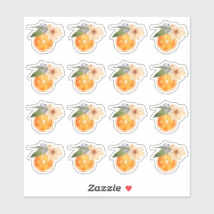 Oranje Blossom Waterverf Mini Stickers