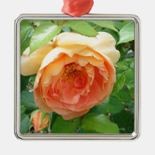 Oranje Blush Roos Metalen Ornament