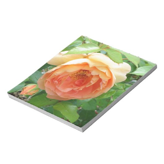 Oranje Blush Roos Notitieblok (Linkerzijde)