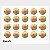 Oranje Blush Roos Ronde Sticker (Vel)
