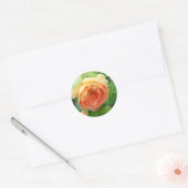Oranje Blush Roos Ronde Sticker (Envelop)