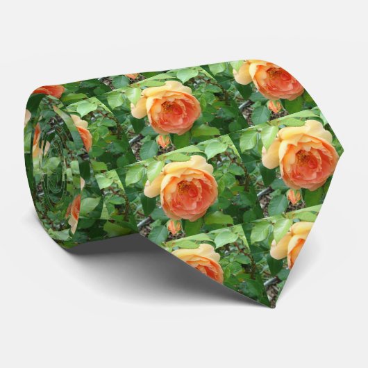 Oranje Blush Roos Stropdas (Opgerold)