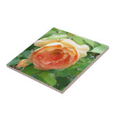 Oranje Blush Roos Tegeltje (Zijkant)