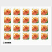 Oranje Blush Roos Vierkante Sticker (Vel)