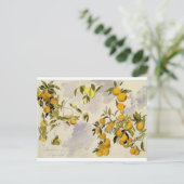 Oranje bomen, 1863 (m/c, pen en inkt boven grafiet briefkaart (Staand voorkant)