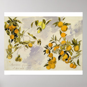 Oranje bomen, 1863 (m/c, pen en inkt boven grafiet poster