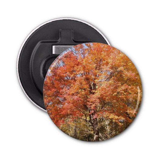 Oranje bomen button flesopener (Voorkant)