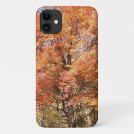 Oranje bomen iPhone 16 hoesje