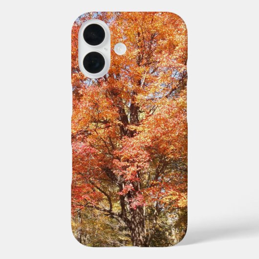 Oranje bomen Case-Mate iPhone case (Achterkant)