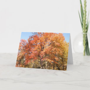 Oranje bomen feestdagen kaart