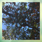 Oranje bomen in Buenos Aires arboles naranjos Raamsticker (Vel 3)