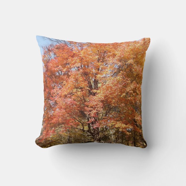 Oranje bomen kussen (Voorkant)