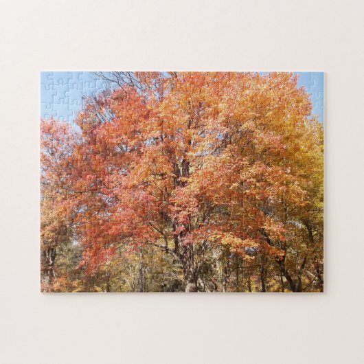 Oranje bomen legpuzzel (Horizontaal)