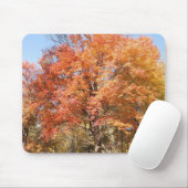 Oranje bomen muismat (Met muis)