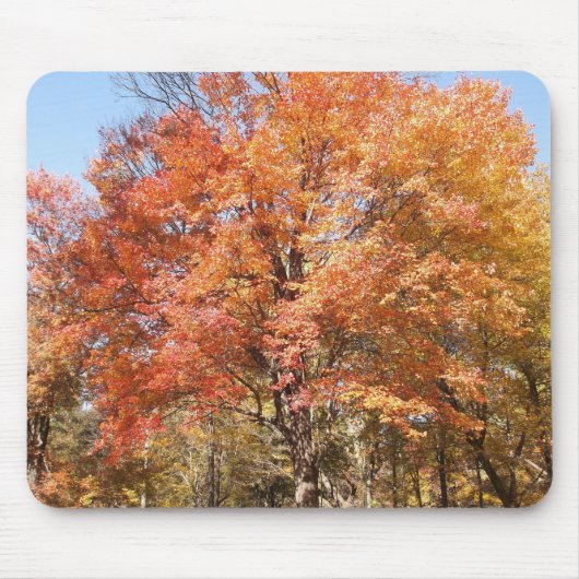 Oranje bomen muismat (Voorkant)
