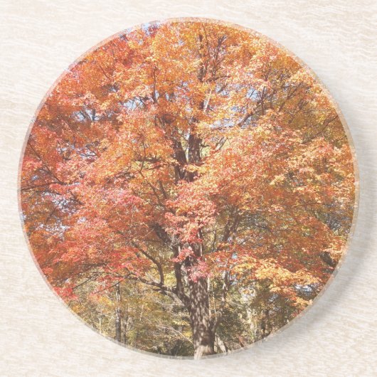 Oranje bomen zandsteen onderzetter (Voorkant)