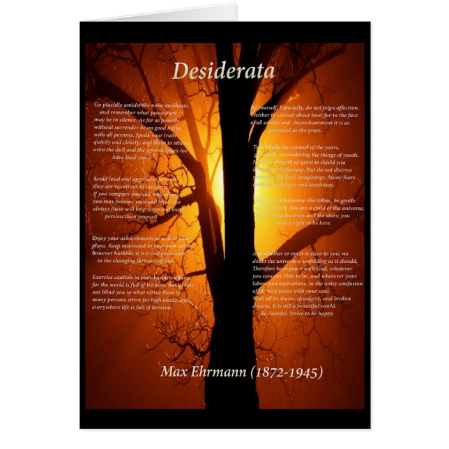 Oranje boom (Voorkant)