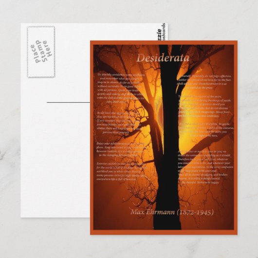 Oranje boom briefkaart (Voorkant / Achterkant)