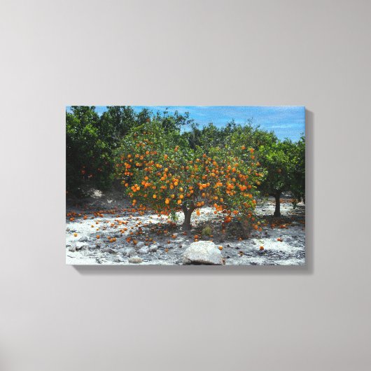 Oranje boom canvas afdruk (Voorkant)
