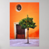 Oranje boom Zeer  Poster (Voorkant)