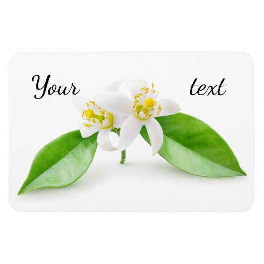 Oranje boombloemen magneet (Horizontaal)