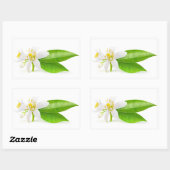 Oranje boombloemen rechthoekige sticker (Vel)