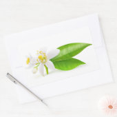 Oranje boombloemen rechthoekige sticker (Envelop)