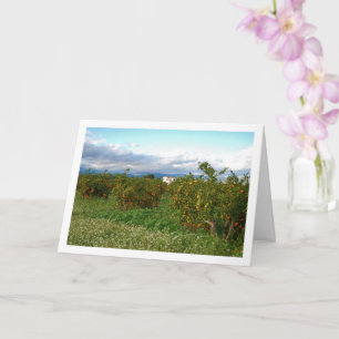 Oranje boomgaard, Valencia, Spanje Kaart