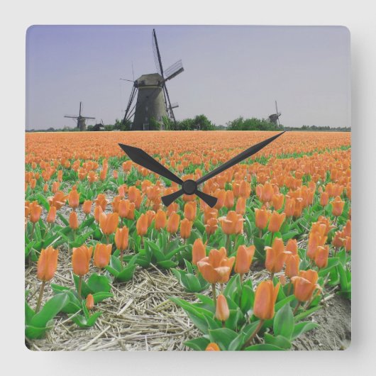 Oranje boomgaard vierkante klok (Voorkant)